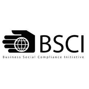 bsic_